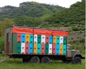 Кочевая пасека в условиях Дагестана «Кочевая пасека Гасановых»